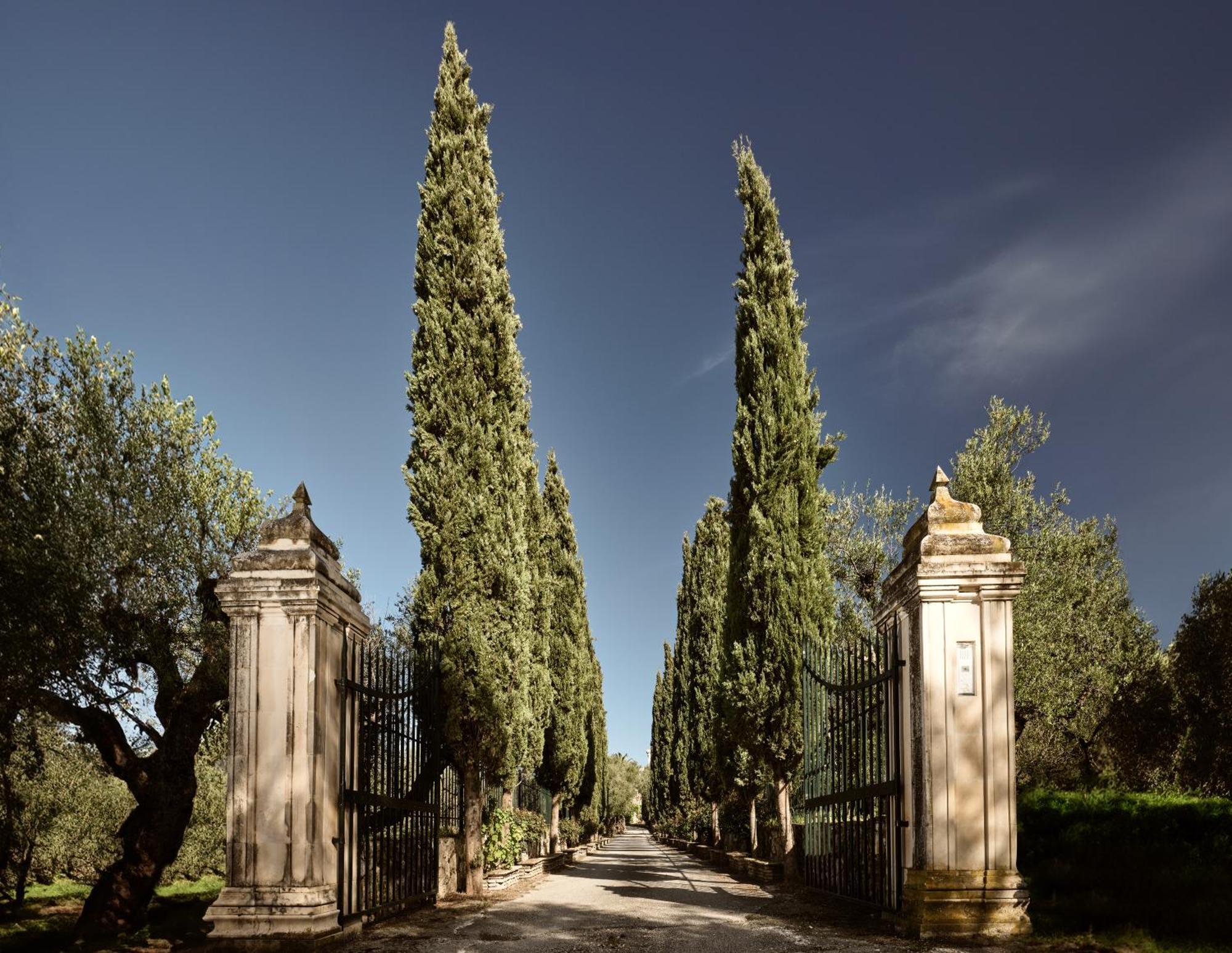 Almeira 4Acre Estate, For Unparalleled Seclusion, By Thinkvilla Zakynthos Exterior foto